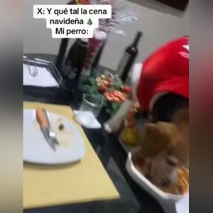 Perro asalta la mesa