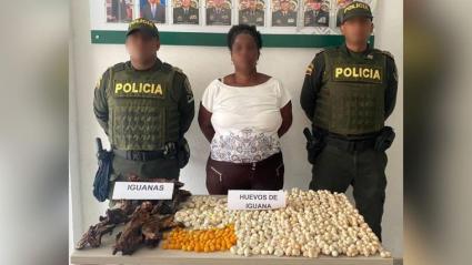 A detenida le fueron incautados 700 huevos de iguana y siete iguanas muertas ahumadas.